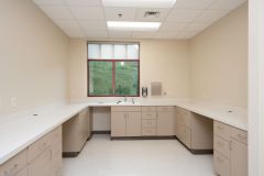 Commercial Renovation