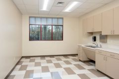 Commercial Renovation