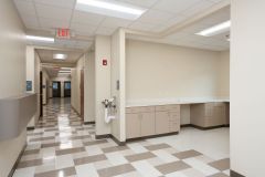 Commercial Renovation