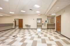 Commercial Renovation