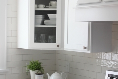 Kitchen Renovation